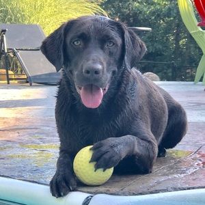 Meet your Posher, Elaine